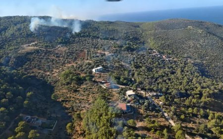 Antalya Kaş'ta orman yangını: Çok sayıda ekip sevk edildi