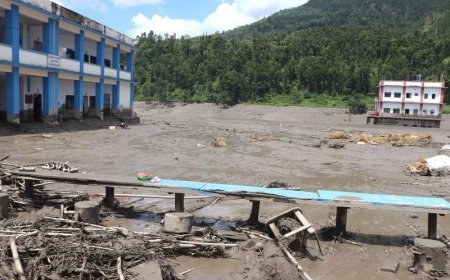 Nepal'deki selde hayatını kaybedenlerin sayısı 734'e yükseldi