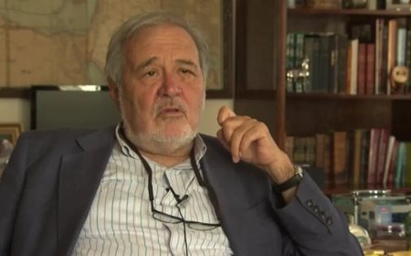 İlber Ortaylı, zaferin nasıl kazanıldığını NTV'ye anlatmıştı