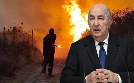 Cezayir'de orman yangınları için idam kararı! Cumhurbaşkanı Tebbun talimatı verdi