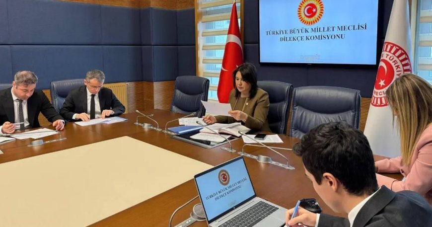 TBMM Dilekçe Komisyonu'na ilginç talepler. "İstanbul kışlık, Ankara yazlık başkent olsun"