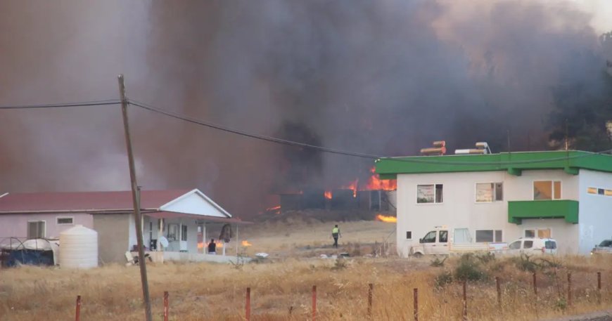 Çanakkale'deki orman yangını kontrol altında