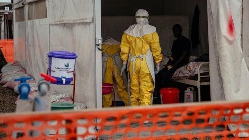 Kongo Demokratik Cumhuriyeti'nde Ebola vakaları 3 bin 748'e çıktı