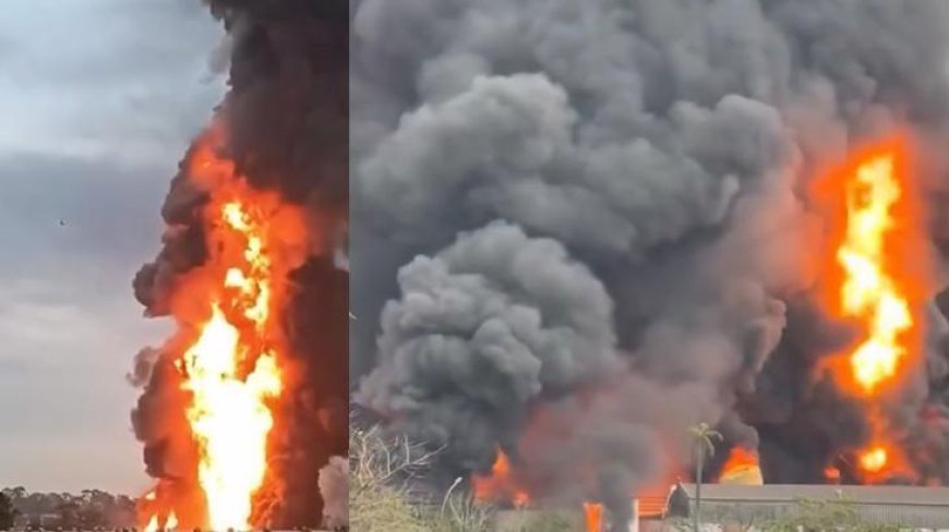 Brezilya'da kimya fabrikasında şiddetli patlama! 150 kişi tahliye edildi