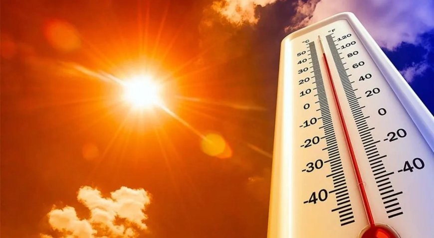 Sıcak hava dalgası bilançosu ağırlaşıyor! Can kaybı 21'e yükseldi