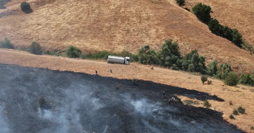 Tunceli'de otluk alandan ormana sıçrayan yangın söndürüldü