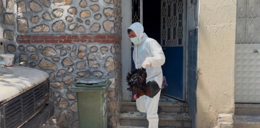 Mahalle pire istilasıyla karşı karşıya kaldı! 3 katlı binadan çıkanlar şaşkına çevirdi