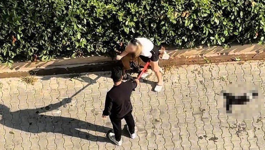 Adana’da Pitbull dehşeti! Kediyi parçaladı: Sahibi 'polisi aramayın' diye yalvardı
