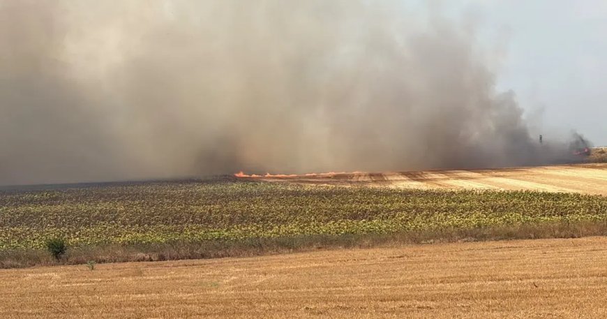 Silivri'de tarla yangını kontrol altına alındı