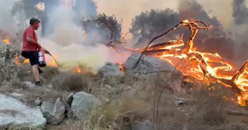 Antalya'da orman yangını. Yangın tüplerini eşekle taşıdılar
