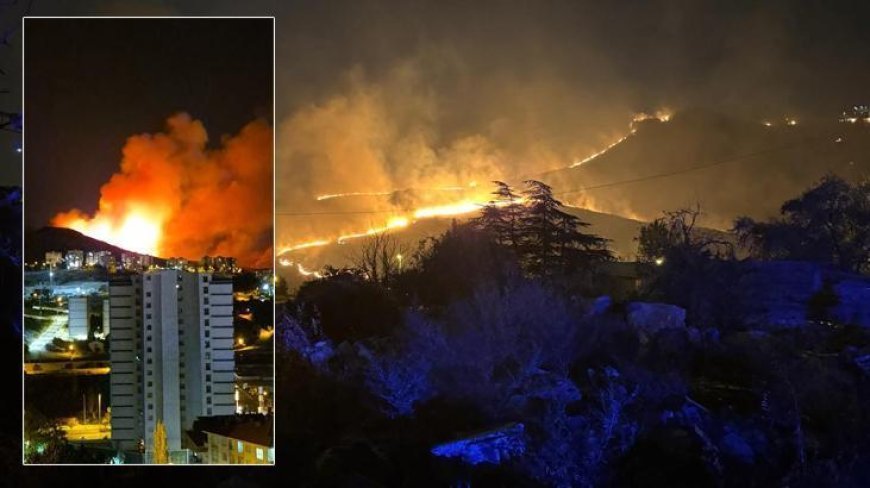 Ankara Mamak'ta ağaçlık alanda yangın! Ekipler müdahale ediyor