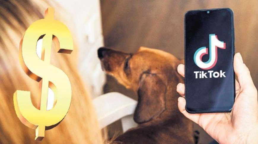 TikTok davasında 400 milyon uzlaşma