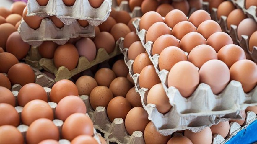 SON DAKİKA HABERLER: 306 kişi hastanelik oldu! Yumurtalarda korkutan alarm: 'Tehlike sanılandan büyük, 8 ülkeye ulaştı'