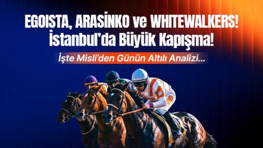Egoista, Arasinko ve Whitewalkers! İstanbul’da Büyük Kapışma! İşte Misli’den Günün Altılı Analizi…