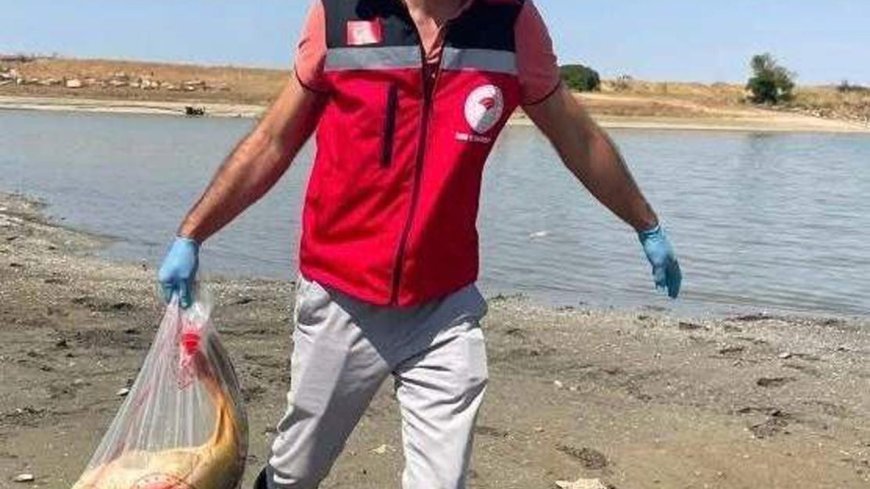 Tekirdağ'da gölette balık ölümlerine inceleme