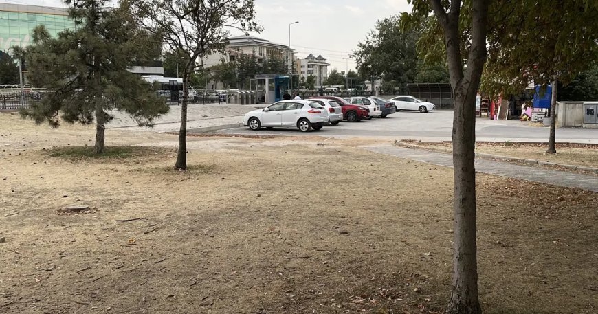 Kıskançlık kavgası. 15 yaşındaki kız çocuğu bıçaklandı