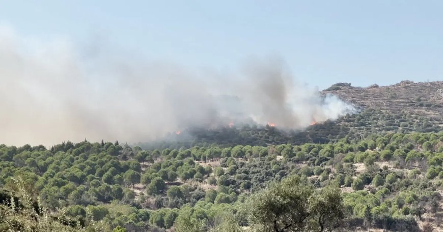 İzmir'de orman yangını
