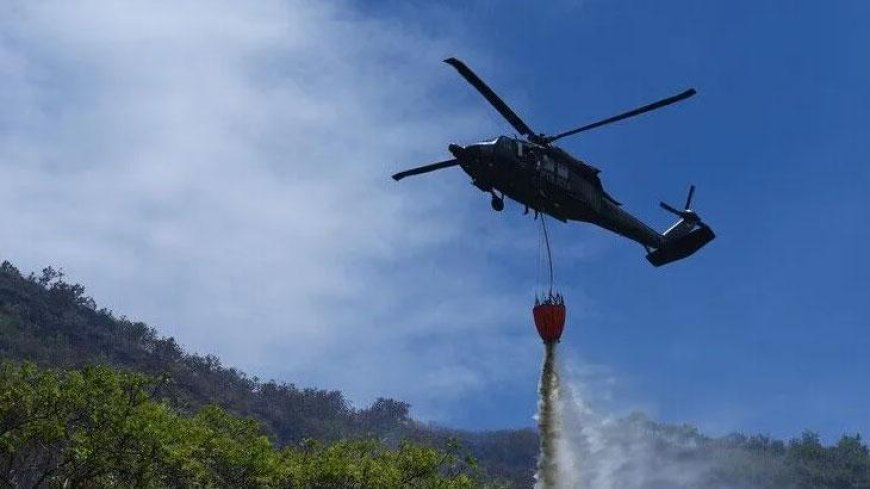 Kolombiya'da orman yangınları nedeniyle 'kamusal acil durum' ilan edildi