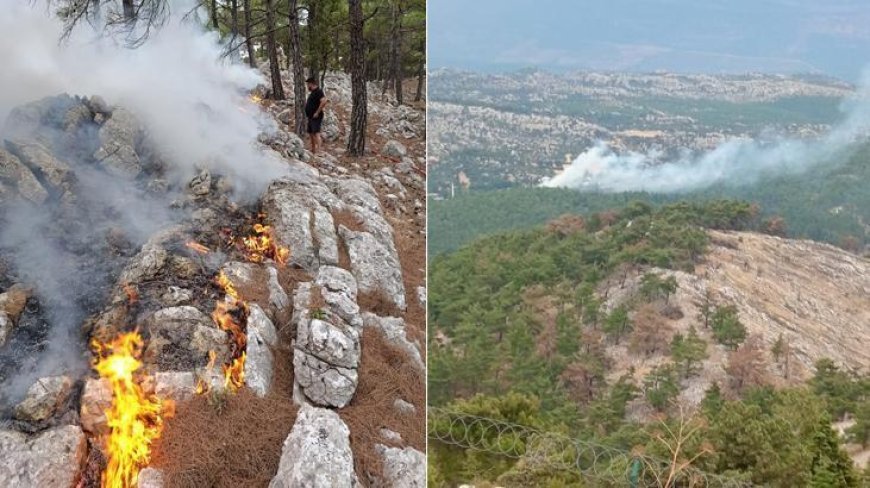 Mersin'de korkutan orman yangını! Yıldırım düşen bölge alevlere teslim oldu