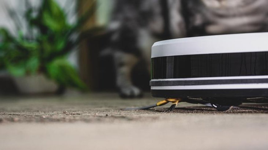 Aldatıldığını robot süpürgeden öğrendi! Yaptığı hamle sonradan başına bela oldu