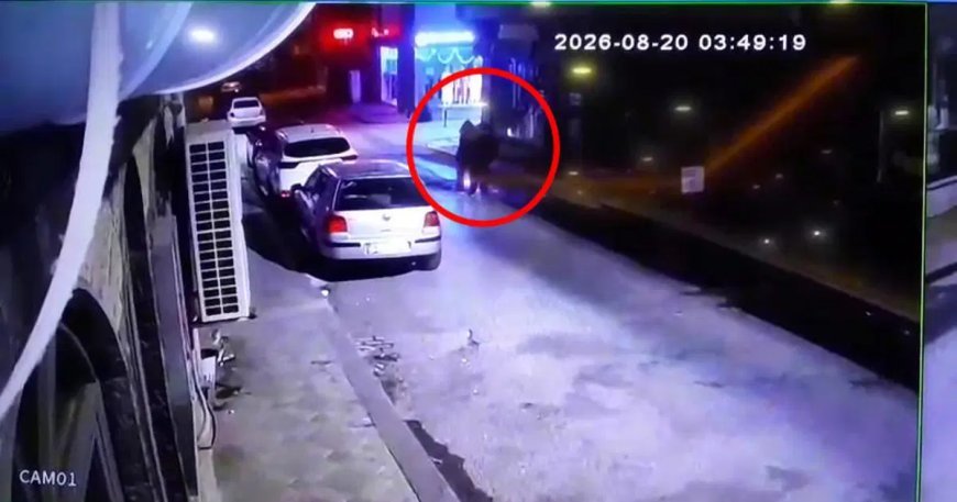 Üç kardeşin gizemli ölümü. Tek renk giyinerek kol kola yürümüşlerdi, bu kez not defteri ortaya çıktı