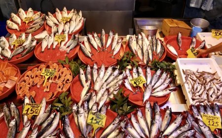Balık avı sezonu başladı. İşte ilk fiyatlar