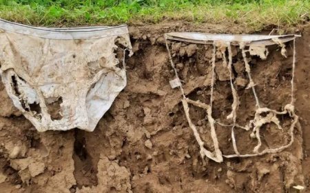 Toprağa 2 bin çift külot gömdüler! Şaşırtan neden aylar sonra ortaya çıktı