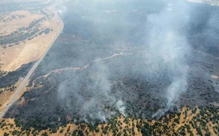 Elazığ'daki orman yangını kontrol altında