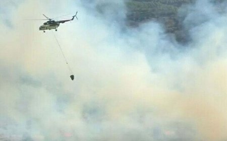 Aydın ve Antalya'da orman yangını! Alevlere havadan ve karadan müdahale
