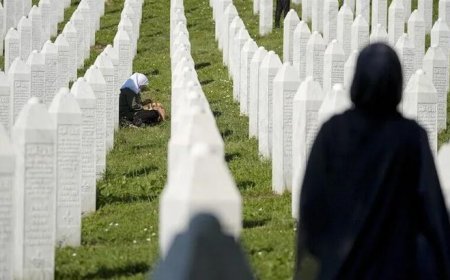 Srebrenitsa Soykırımı'ndan sağ kurtulan Jahic, CNN Türk'e konuştu! 'Bosna Kasabı Mladiç öldü ama ruhu Sırbistan'da yaşıyor'