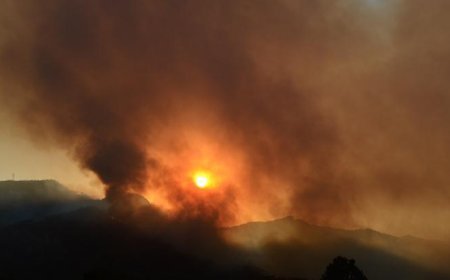 Antalya'da yangın alarmı! Havadan ve karadan müdahale sürüyor