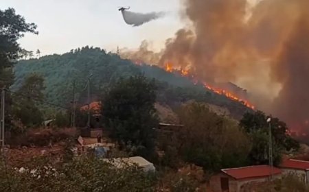 Antalya'da orman yangını. Alevler rüzgarın etkisiyle büyüdü