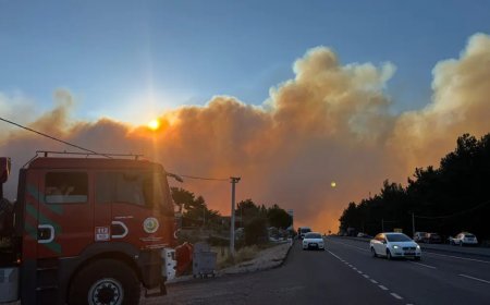 Muğla'da orman yangını: Komşu ilçeye sıçrayan alevler Denizli yolunu tehdit ediyor