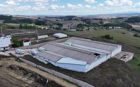 Kocaeli'de çürümeye bırakılan Ahbap deposundaki yardım malzemeleri görüntülendi