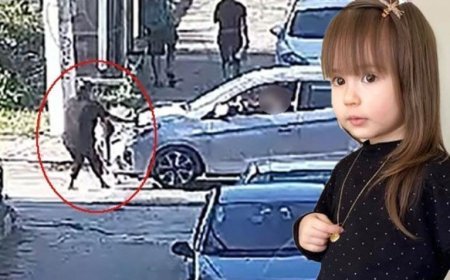 Minik Elif Mavi’nin ölümünde yeni gelişme! Sürücü yeniden gözaltında