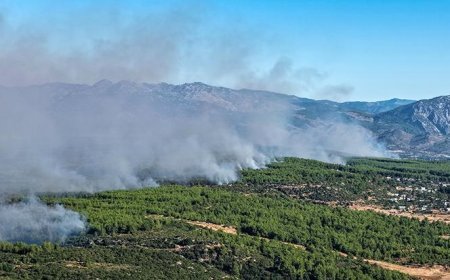 Antalya'da yangınında 2'nci gün! 2 bini aşkın hane elektriksiz kaldı