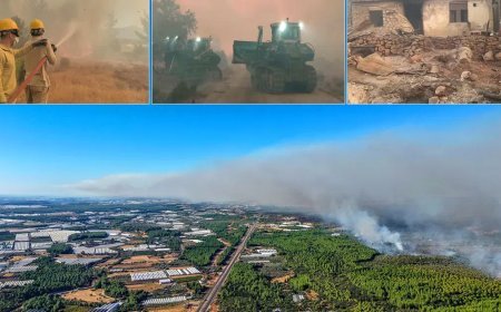Orman yangınları 3 ilde sürüyor. Antalya'da yüzlerce kişi tahliye edildi
