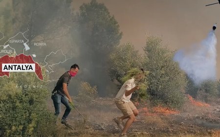 Adana, Antalya ve Mersin'de orman yangını. Alevlerle mücadele sürüyor, yüzlerce ev tahliye edildi