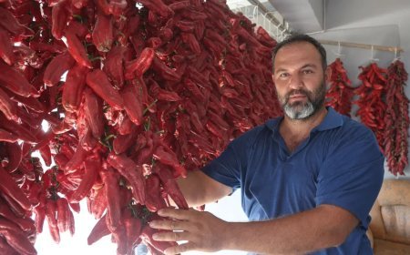 Acısı zehir gibi ama yapan paraya para demiyor. Demeti 500 TL'den alıcı buluyor