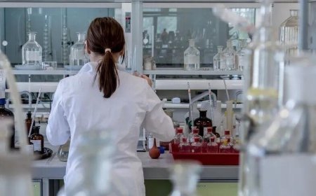 H5N1’de dikkat çeken gelişme! Avustralya’da ilk kez bir deniz aslanında tespit edildi