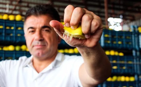 Bahçede 5 TL ama markette 100 TL'den alıcı buluyor. Tam 20 katlık fiyat uçurumu