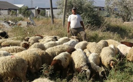 80 bin TL maaş veriyor, çalışacak adam bulamıyor. 40 derece sıcakta zorlu mesai