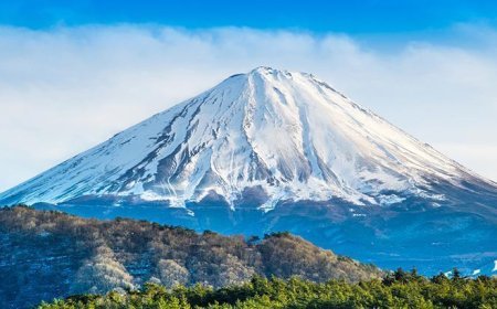 Fuji Dağı'nda mahsur kalmışlardı! Kurtarılmak için para ödeyecekler