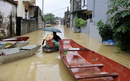 Vietnam'da sel felaketi! 2 binden fazla ev sular altında, hayvanlar telef oldu