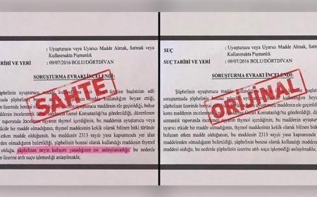 ‘Neyin kafasını yaşadığı anlaşılamadı’ ifadeli savcılık kararı iddiasına soruşturma