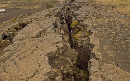HABERLER: 1330 Deprem meydana geldi! Şaşırtan bağlantı ortaya çıktı...