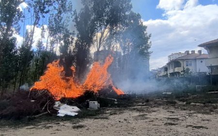 Çorlu’da çam ağaçları yangında zarar gördü