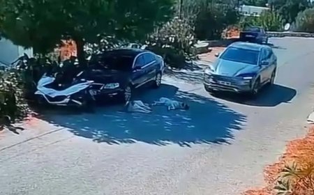 Otomobille iki köpeğin üzerinden geçti, yoluna devam etti
