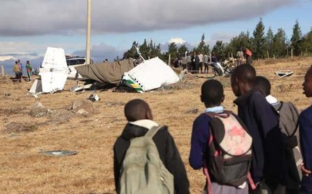 Kenya'da uçak kazası: 2 ölü