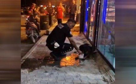 Hatay'da sokak köpeğini av tüfeğiyle yaralayan şüpheli gözaltına alındı